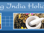 Amazing India Holidays Pvt. Ltd.